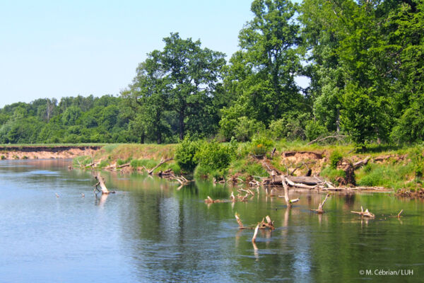 Schönheitsbewertung in Online- und Vor-Ort-Befragung: 7,4 (auf einer Skala von 0 bis 10, 73 abgegebene Stimmen)
