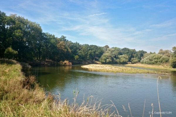 Schönheitsbewertung in Online- und Vor-Ort-Befragung: 7,9 (auf einer Skala von 0 bis 10, 74 abgegebene Stimmen)
